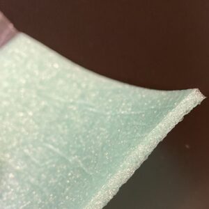 Trident Moisture Guard